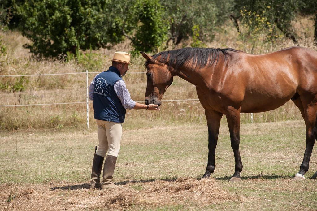Podere Il Poggiolo بونتاسيفي المظهر الخارجي الصورة